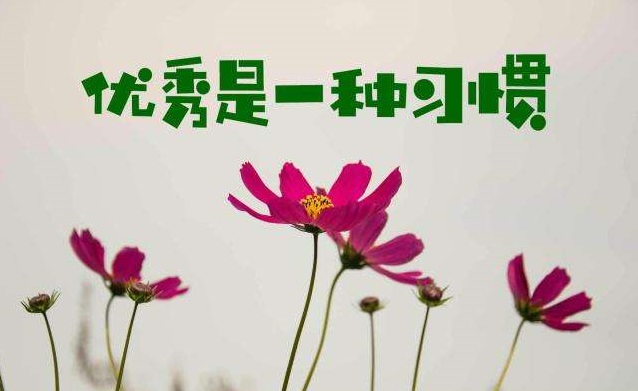 60da2a801fb247fe84323a588ee14c67.Jpeg