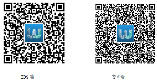 c78308d892c74f3386533ef886931ad8.Png