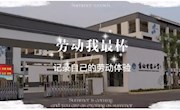 多彩暑假 智慧一“夏”——香山实验小学2022年学生暑假实践成果展示