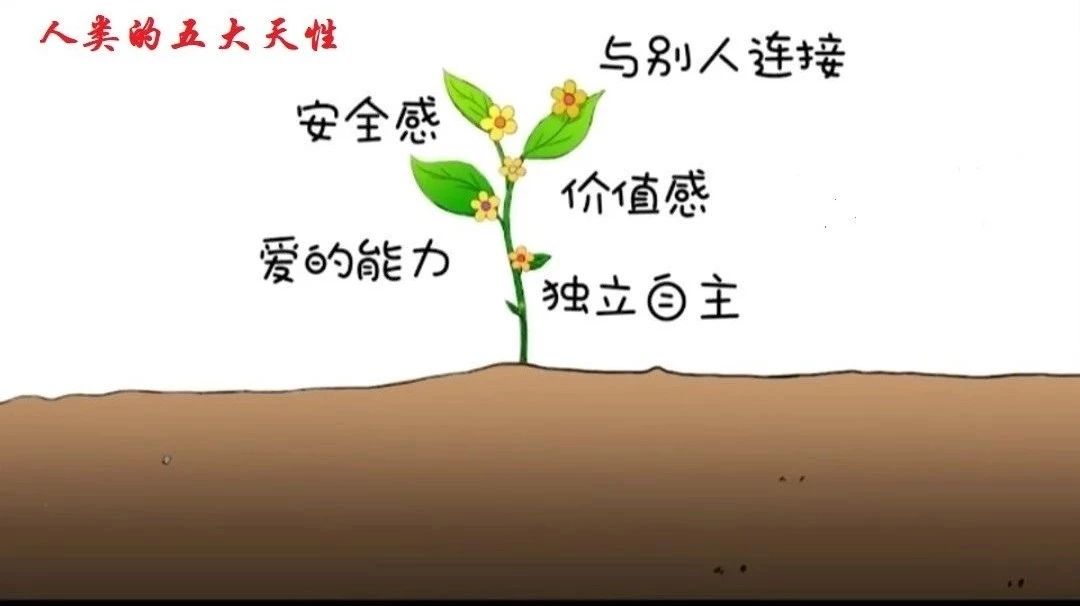 b1ccfa87d36c44e1b89ee545b084b66b.Jpeg