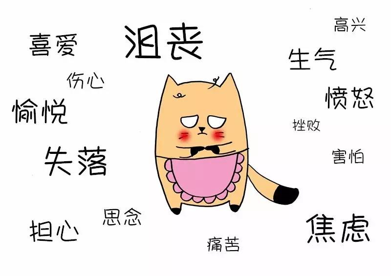 c8de4c6c1f5849c0b903d1471d23c058.Png