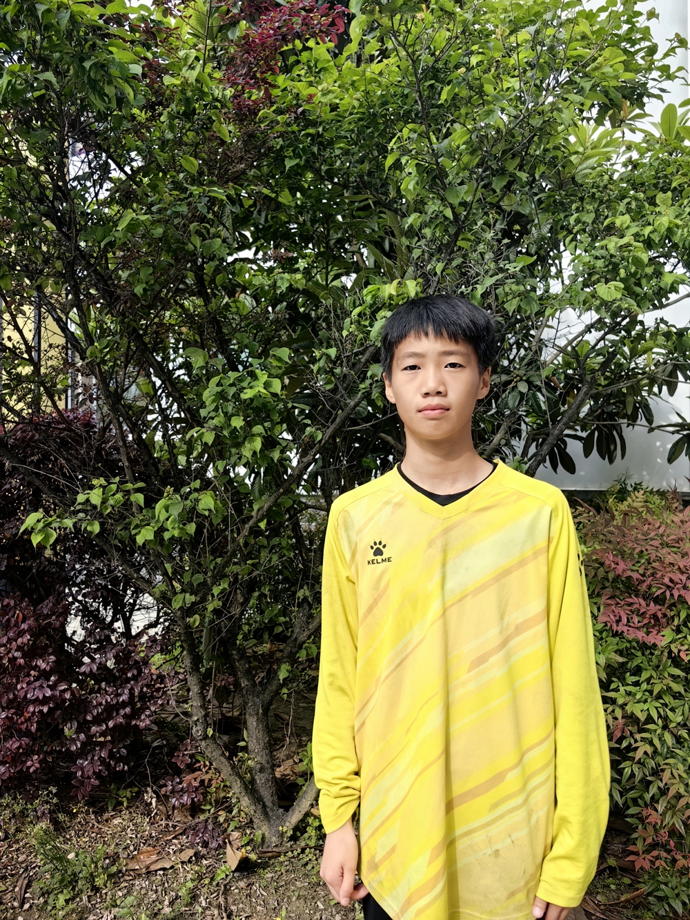 照片5
